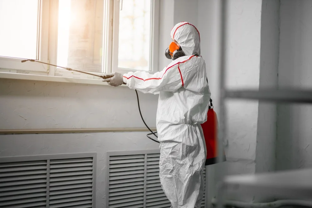 Professional mold remediation services in Crenshaw, MS
